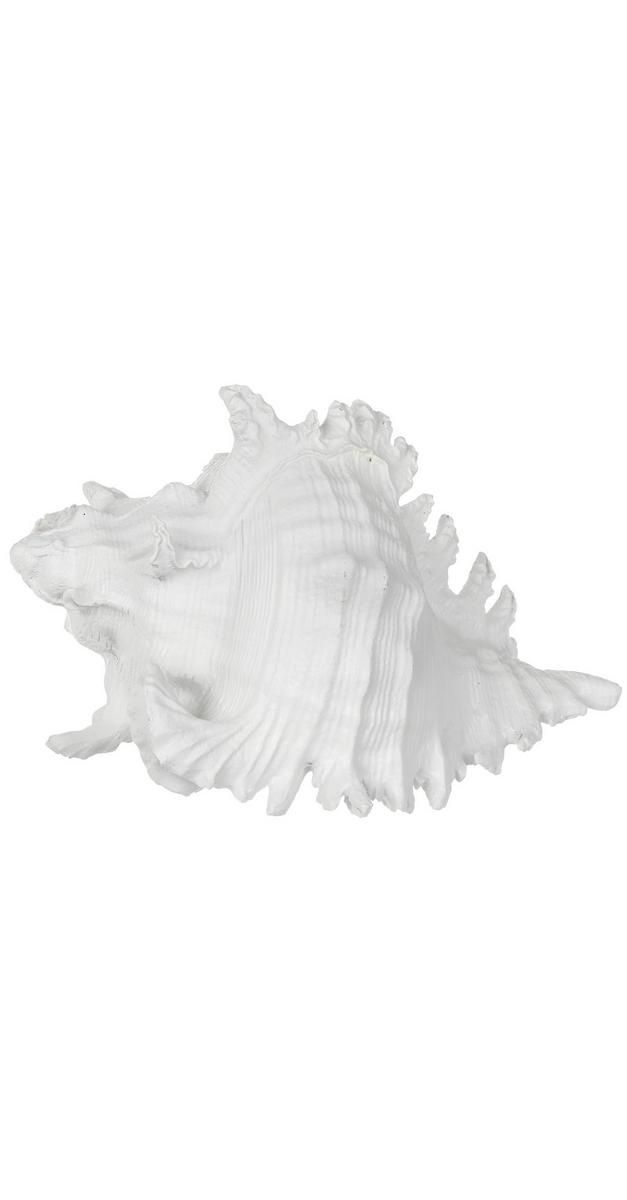 7" Resin Conch Shell Accent - White-White-6286078484610   | Burkes Outlet | bealls