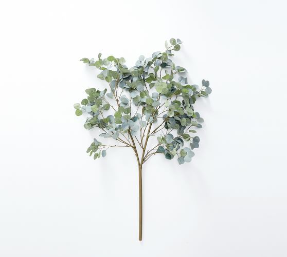 Faux Oversize Silver Dollar Eucalyptus Branch, 59"L | Pottery Barn (US)