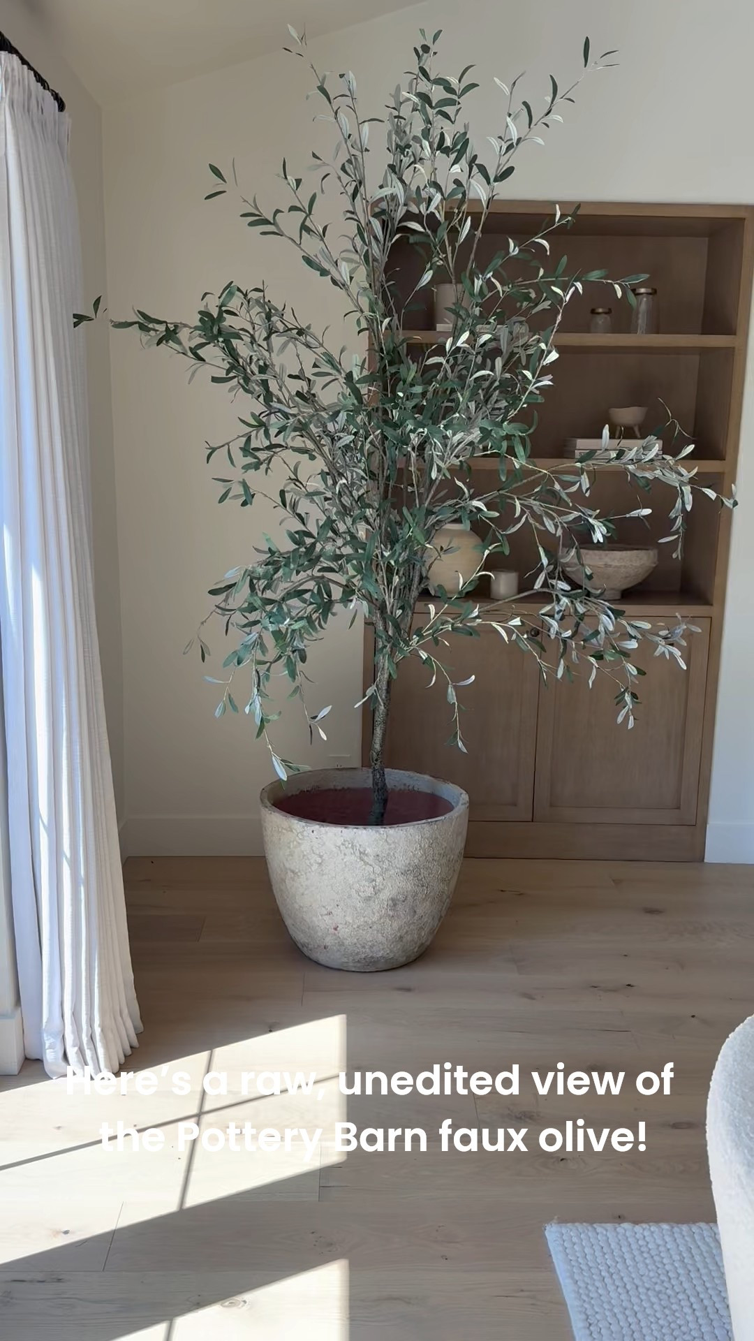 This faux olive tree from Pottery Barn is hands-down my favorite greenery to style with. The branches are perfectly wispy, the leaves look incredibly realistic, and it instantly adds warmth to any corner. I love that it brings a touch of Mediterranean charm without the maintenance of a real plant. It’s become one of those staple pieces I move around from room to room because it just works everywhere. If you’ve been looking for a timeless faux tree, this one’s worth every penny.

#LTKSeasonal #LTKSummerEdit #LTKHome