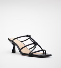 TERRANCE | Cecelia New York