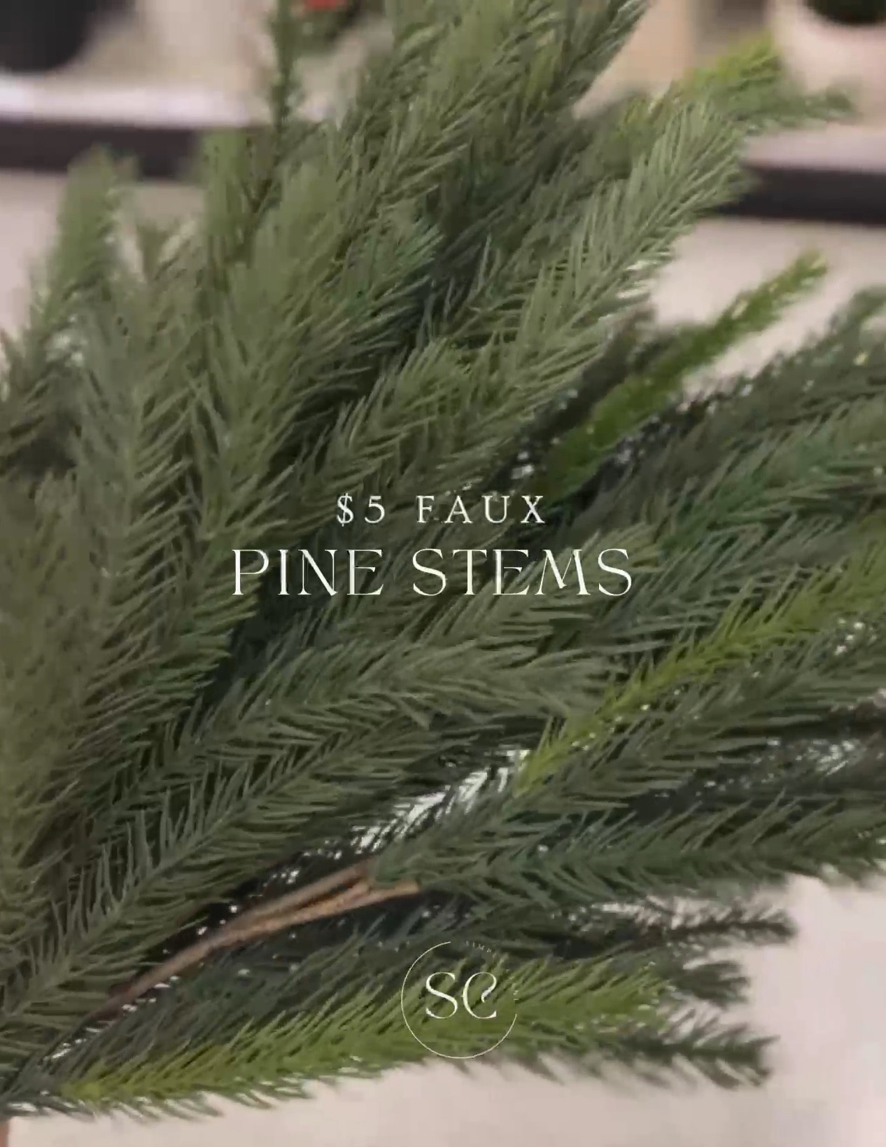 Draping Pine Stem - Threshold™ curated on LTK