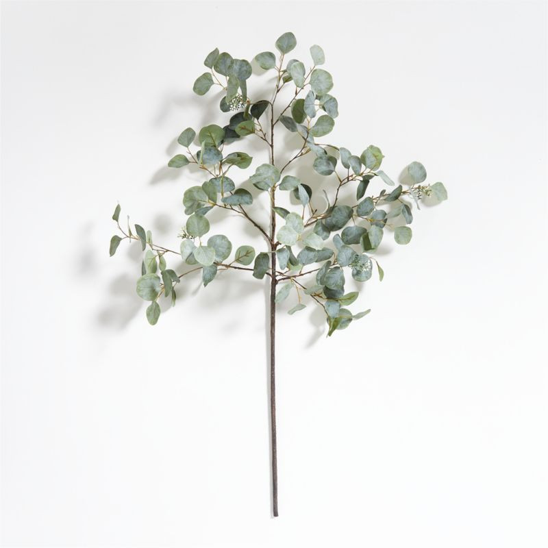 Large Faux Silver Dollar Eucalyptus Stem + Reviews | Crate & Barrel | Crate & Barrel