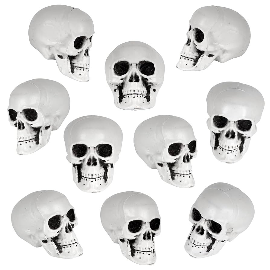 10 Pcs Halloween Skeleton Heads, Mini Plastic Skull Heads, Human Head Bone Model for Bar, Haunted... | Amazon (US)