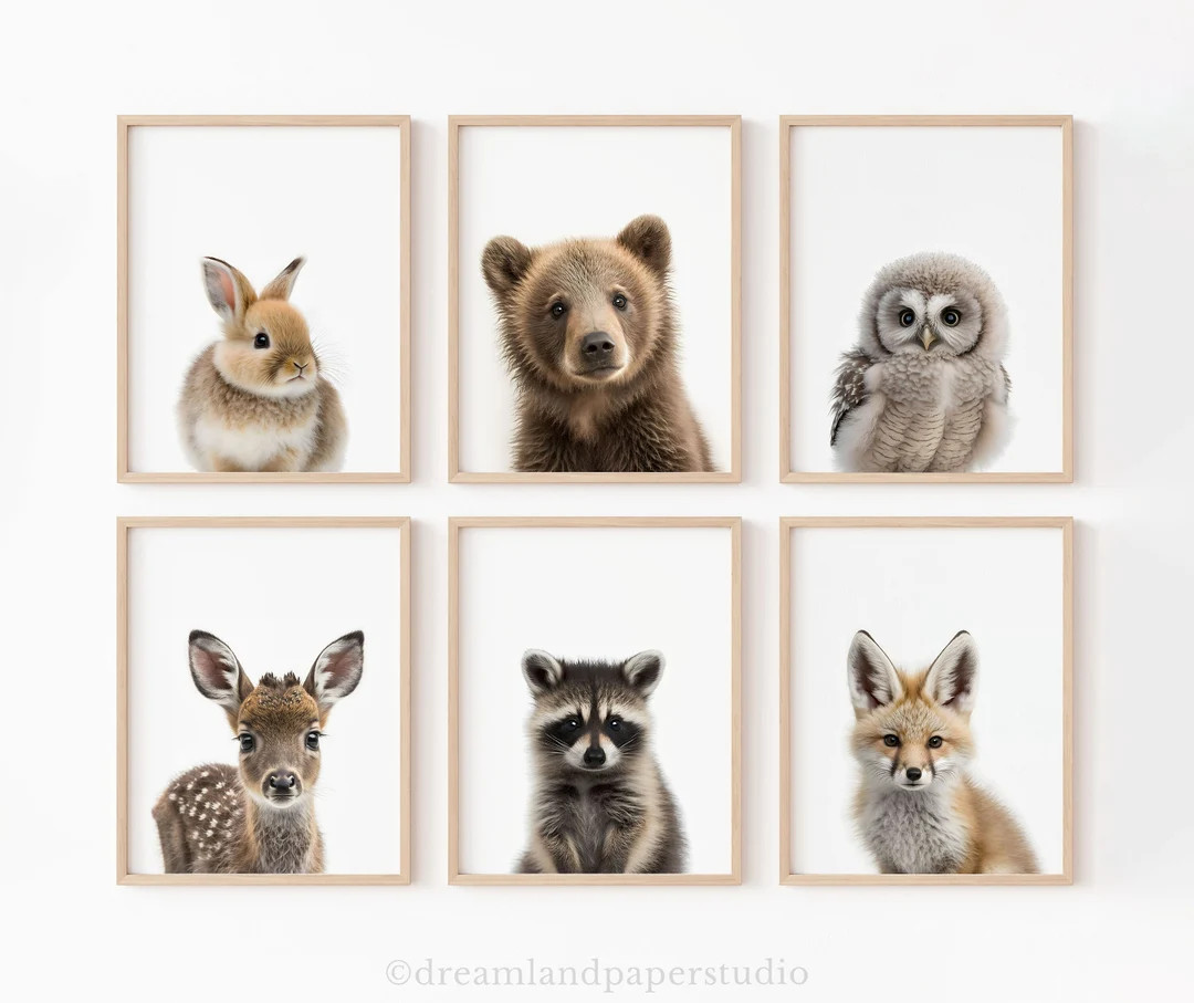 Cute Baby Animals Set of 6 Woodland Creatures Prints Outdoor - Etsy | Etsy (US)