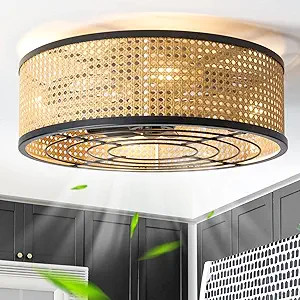 zheshirui Rattan Boho Ceiling Fan with Light Flush Mount, 20 Inch Caged Ceiling Fans with Light a... | Amazon (US)
