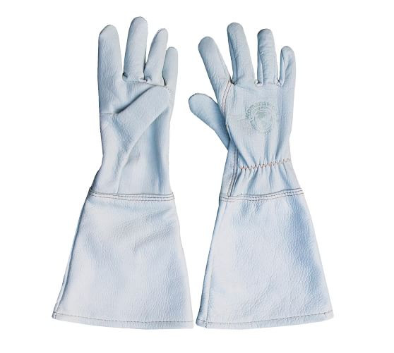 Goatskin Gardening Gloves | Pottery Barn (US)