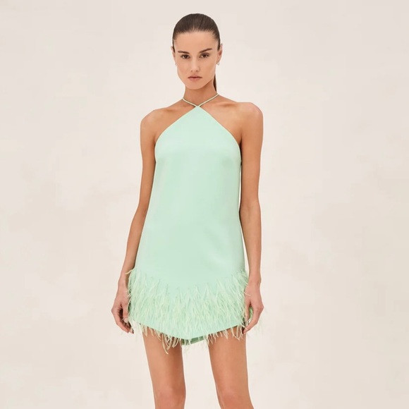 Alexis Bristal Dress | Poshmark