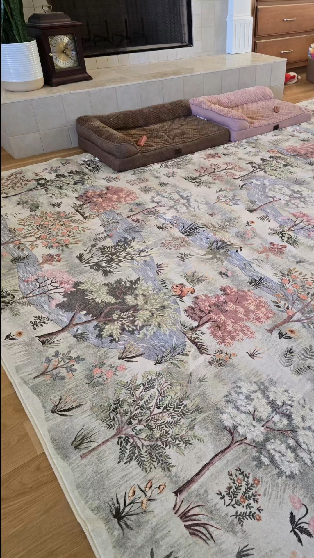 Attention Pet Parents! 
I watched our new Frenchie puppy potty on this in the first 30 mins and it legit sits on TOP of the rug and does not soak in ! 

The full rug is washable
 It is cloud soft- stain and spill resistant! Robot vacuum friendly and non slip. 
What else could you ask for!? 


#LTKmomlife #LTKdayinmylife #LTKHome