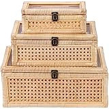 Creative Co-Op Woven Rattan Display Boxes with Glass Lids & Fir Wood Frame (Set of 2 Sizes) | Amazon (US)