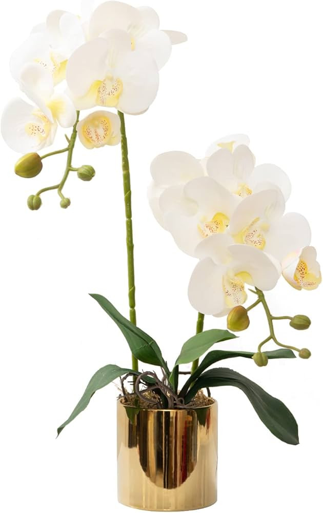 Artificial Orchid Flowers White Faux Orchids with Ceramic Vase Vivid Fake Phalaenopsis Flower Arr... | Amazon (US)