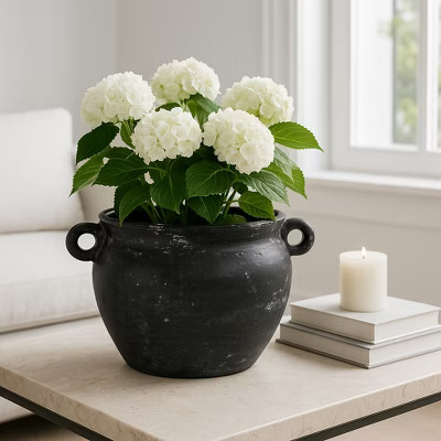 Large Ceramic Planter with Sculpted Handles for Indoor or Outdoor Display - Decorative Plant Stand for Room, Garden, Patio Decor, or Entryway Design | Target