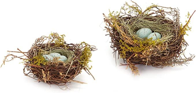 The Bridge Collection Faux Decorative Bird's Egg Nest (Robin's Eggs - Set of 2) | Amazon (US)