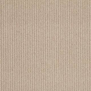Finton  - Nomad - Brown 24 oz. SD Polyester Loop Installed Carpet | The Home Depot
