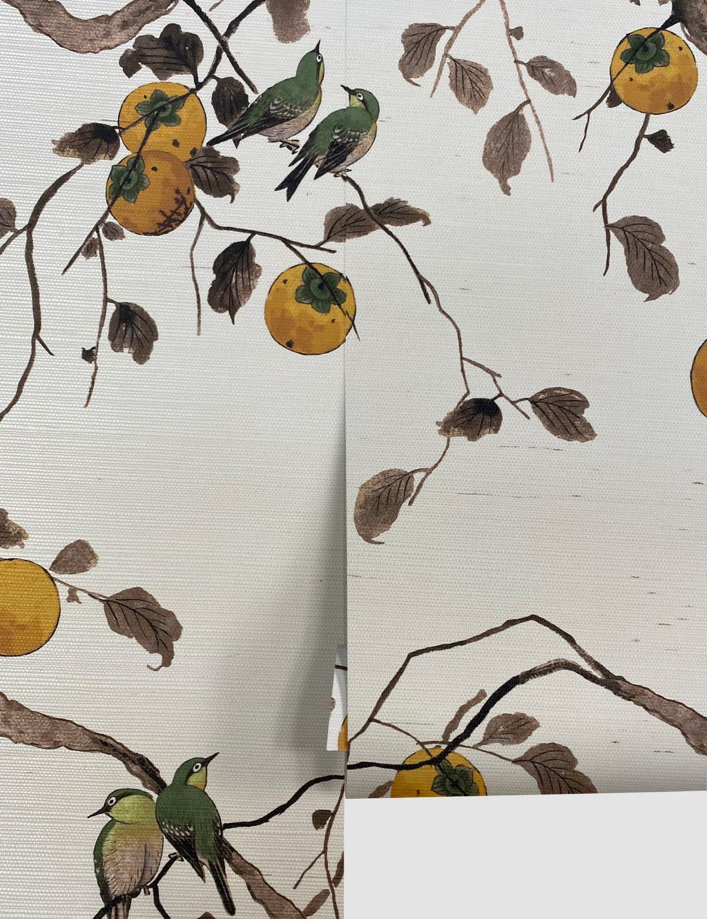 Persimmon Birds Wallpaper | Lulu and Georgia 
