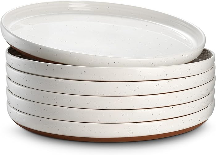 DOWAN 10.5" Large Dinner Plates Set of 6, Ceramic Salad Plate, Microwave, Oven & Dishwasher Safe,... | Amazon (US)