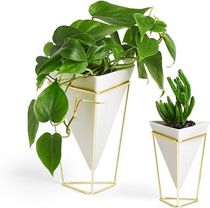 Umbra Trigg Desktop Planter Vase & Geometric Container-for Succulent, Air, Mini Cactus, Faux Plan... | Amazon (US)