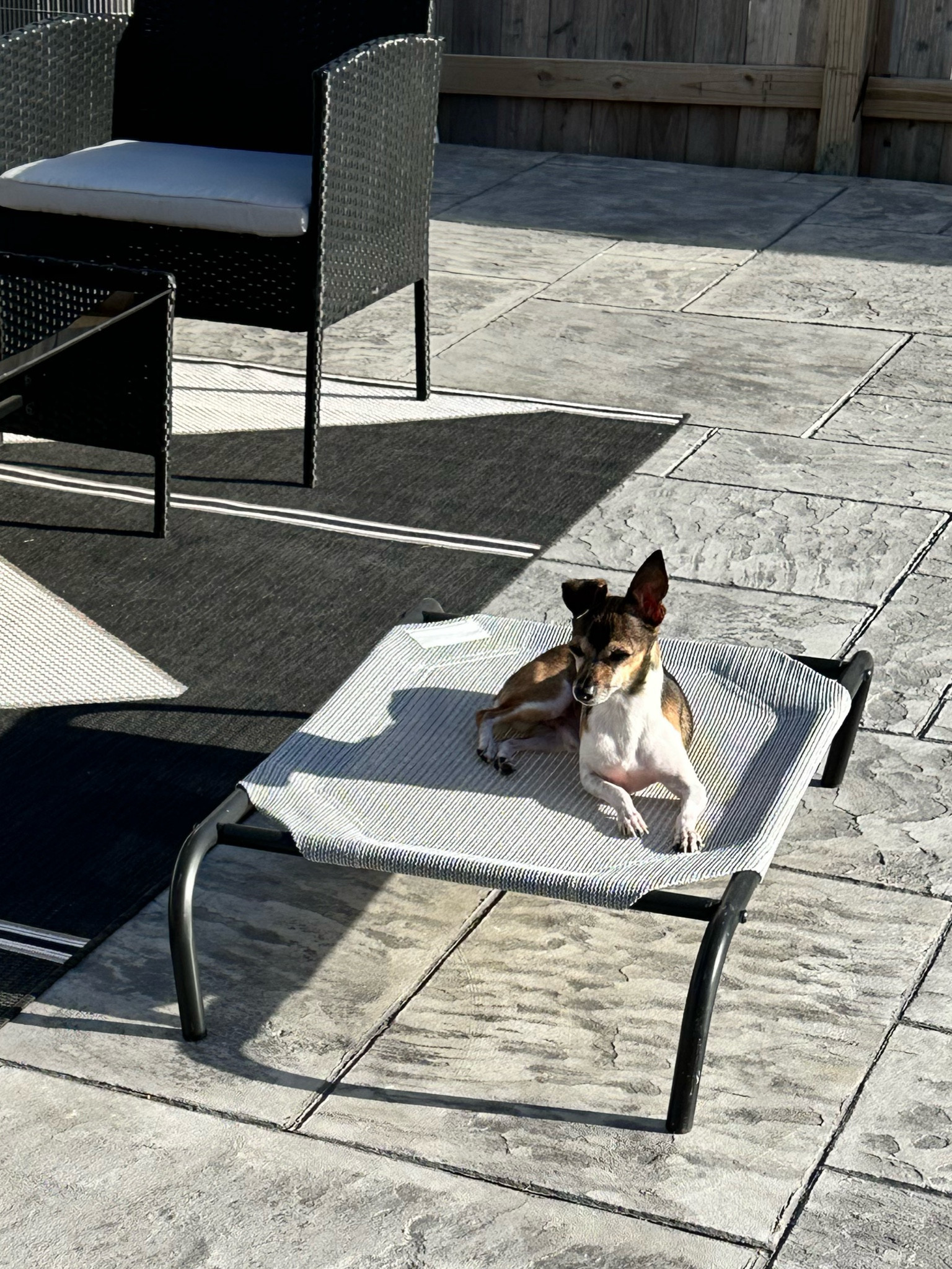 Our outdoor favorites 

#LTKHome