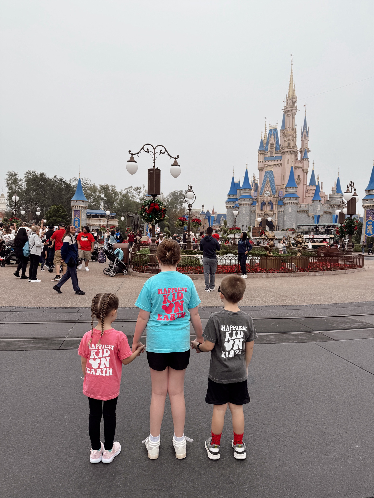 Cinderella’s castle at Disney World

#LTKShoeCrush #LTKKids #LTKFamily