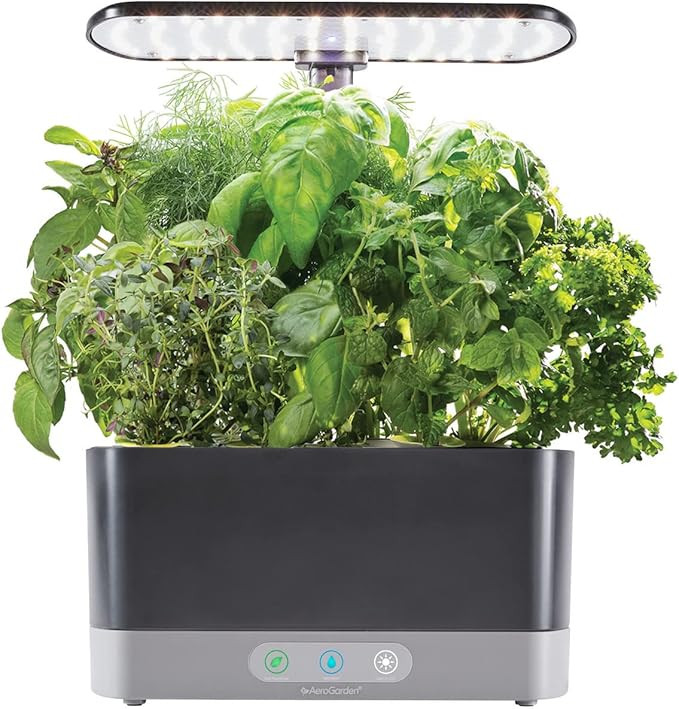 AeroGarden Harvest XL with Gourmet Herbs Seed Pod Kit - Indoor Garden with LED Grow Light, Black | Amazon (US)