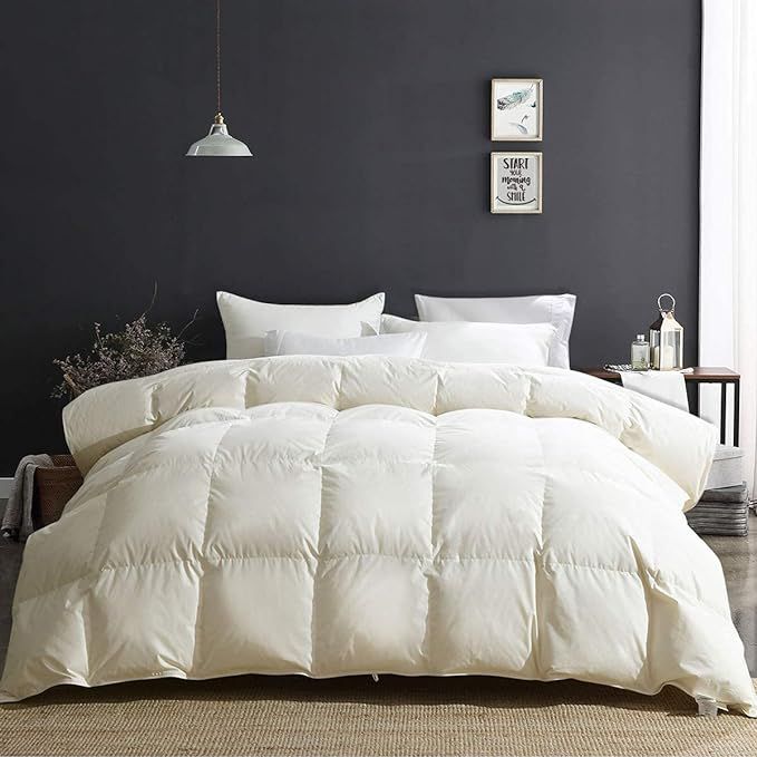 APSMILE Oversized King Luxury 100% Organic Cotton All Season Feathers Down Comforter 750 Fill Pow... | Amazon (US)