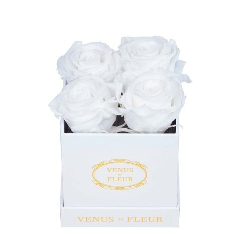 Le Petit | Venus ET Fleur