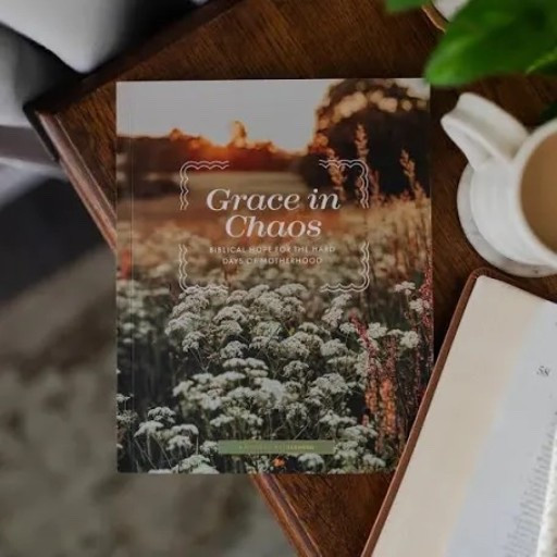 Mothering the Godly way..gracefully 🤍

#LTKstorytime #LTKmomlife #LTKSaleAlert