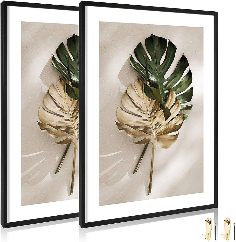 ccdcc 16x20 Aluminum Picture Frames Set of 2, Black Metal Gallery Frame Matte Finish - Display Po... | Amazon (US)