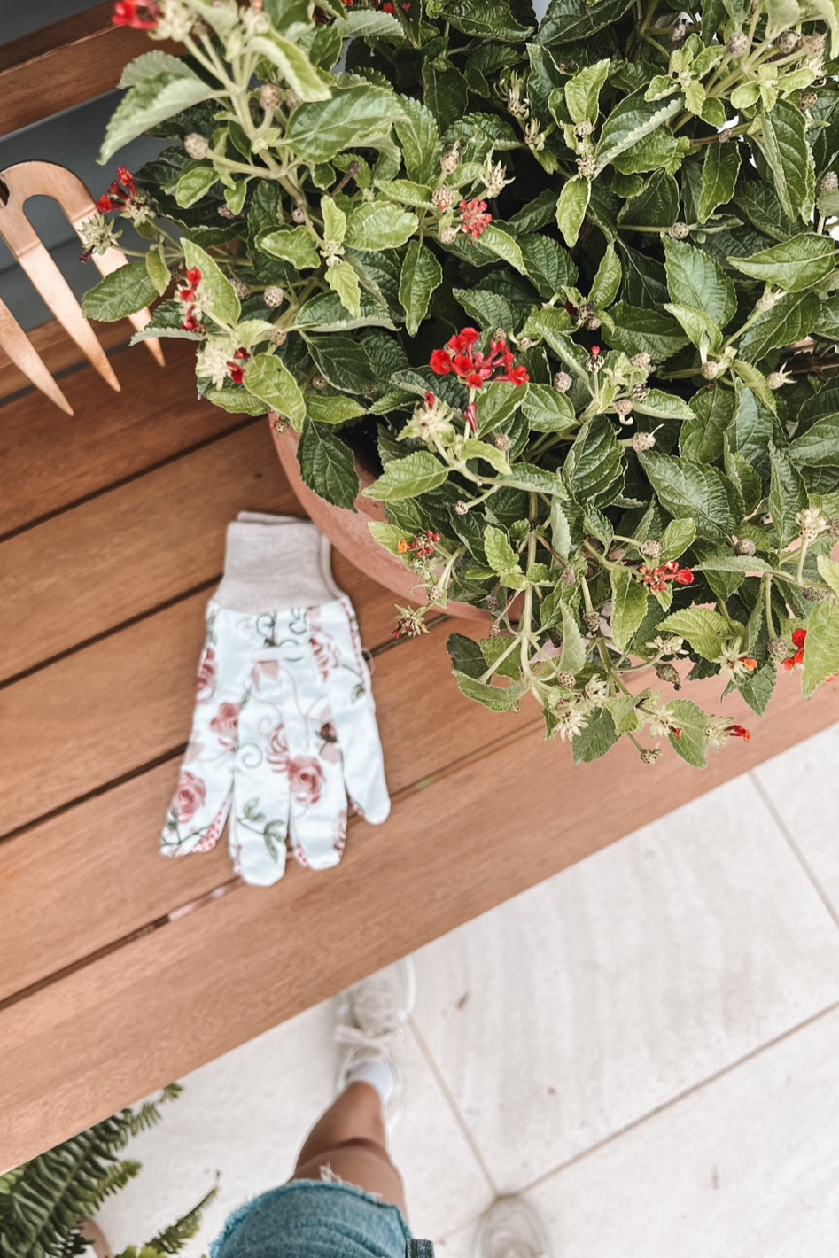 Outdoor gardening gloves and plant decor

#LTKFind #LTKSeasonal #LTKhome