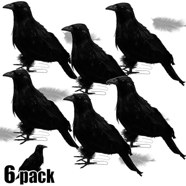 ATDAWN 6 Pack Halloween Black Crows, Realistic Looking Halloween Decoration Birds | Amazon (US)