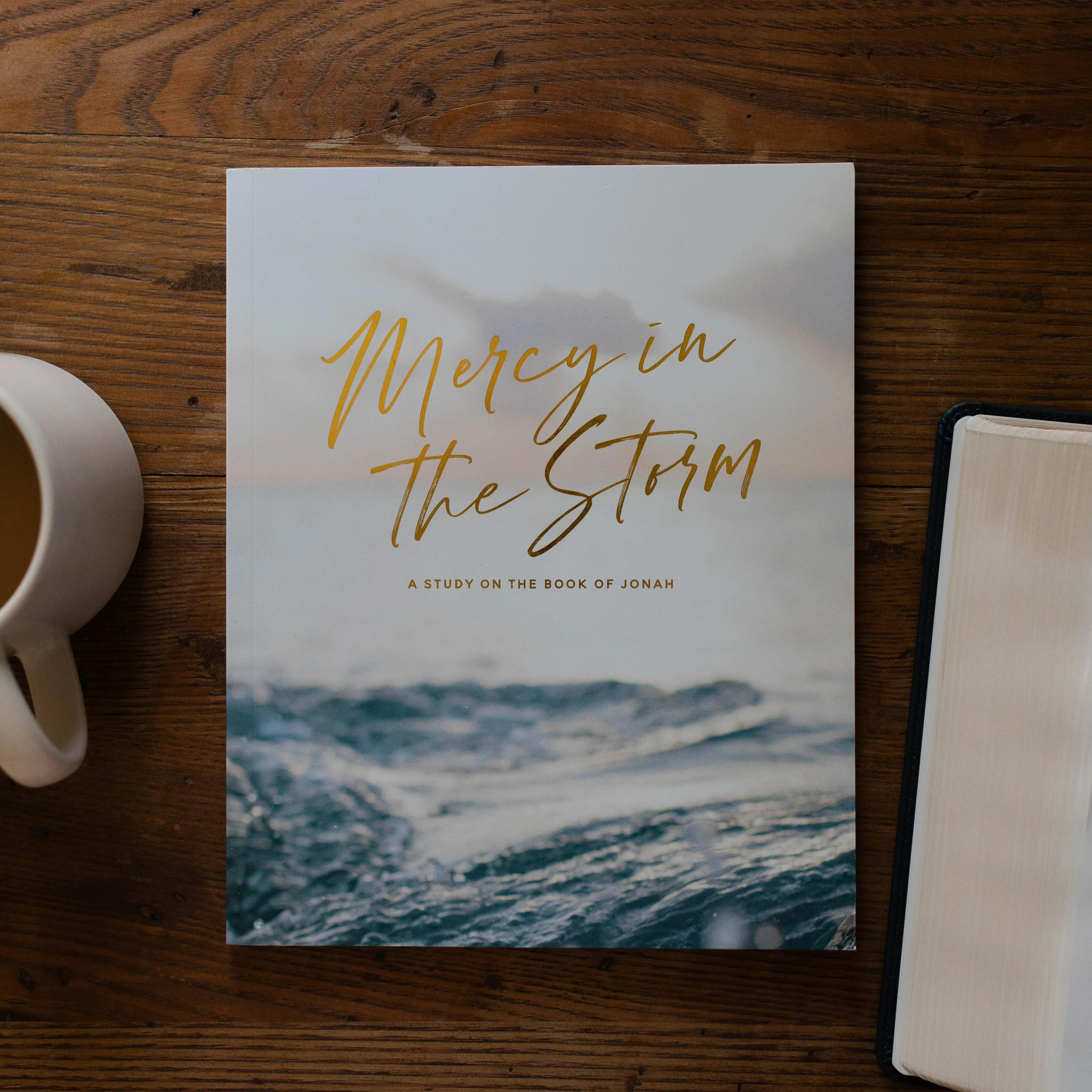 Mercy in the Storm | A Bible Study on the Book of Jonah | The Daily Grace Co.