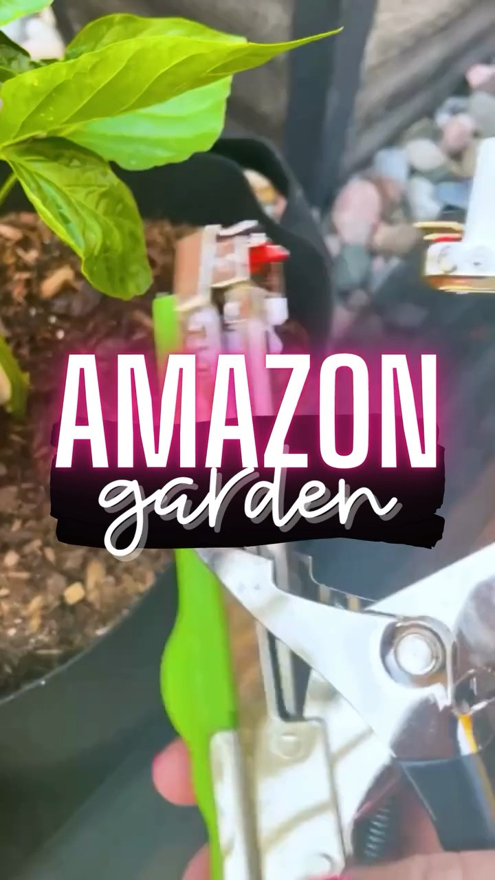 ** make sure to click FOLLOW ⬆️⬆️⬆️ so you never miss a post ❤️❤️

📱➡️ simplylauradee.com


#coloradomama⁠ #coloradolife⁠ #coloradoblogger⁠ #amazonfinds #founditonamazon ⁠#amazonfashion⁠ #amazonprime⁠ #amazonkitchen⁠ #amazonhome #boymomlife #simplylauradee #midsize #homestead #homesteadlife #modernhomestead #30minutemeals #cookingathome #homecanning #canningandpreserving #preservingfood #australianshepherd #puppygram

#LTKHome #LTKFamily #LTKVideo