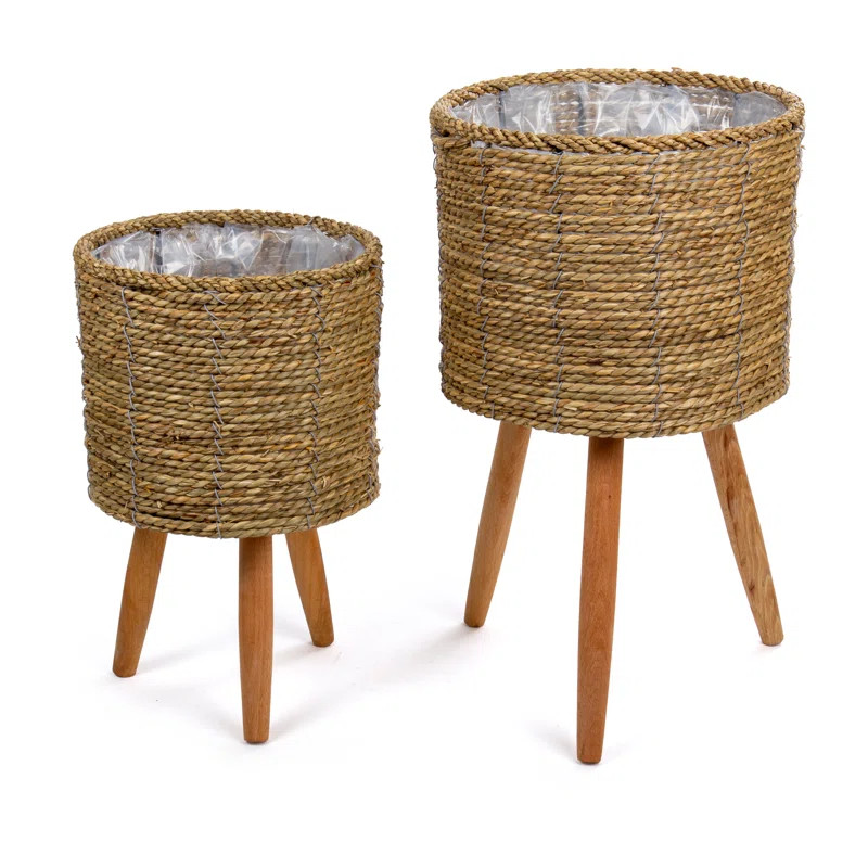 Shelbie 2 - Piece Cachepot Set | Wayfair North America