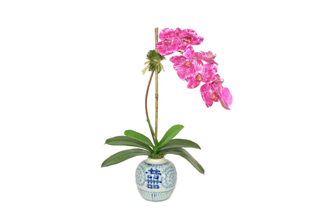 Hot Pink Phal Orchid in Blue and White Pot | The French Bee, Realistic Pink Orchid, Centerpiece, ... | Etsy (US)