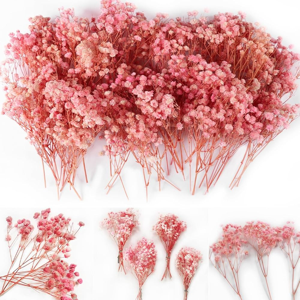Amazon.com: 70Pcs Mini Pink Dried Babys Breath Flowers 6'',4000+ Natural Gypsophila, Dry Flowers ... | Amazon (US)