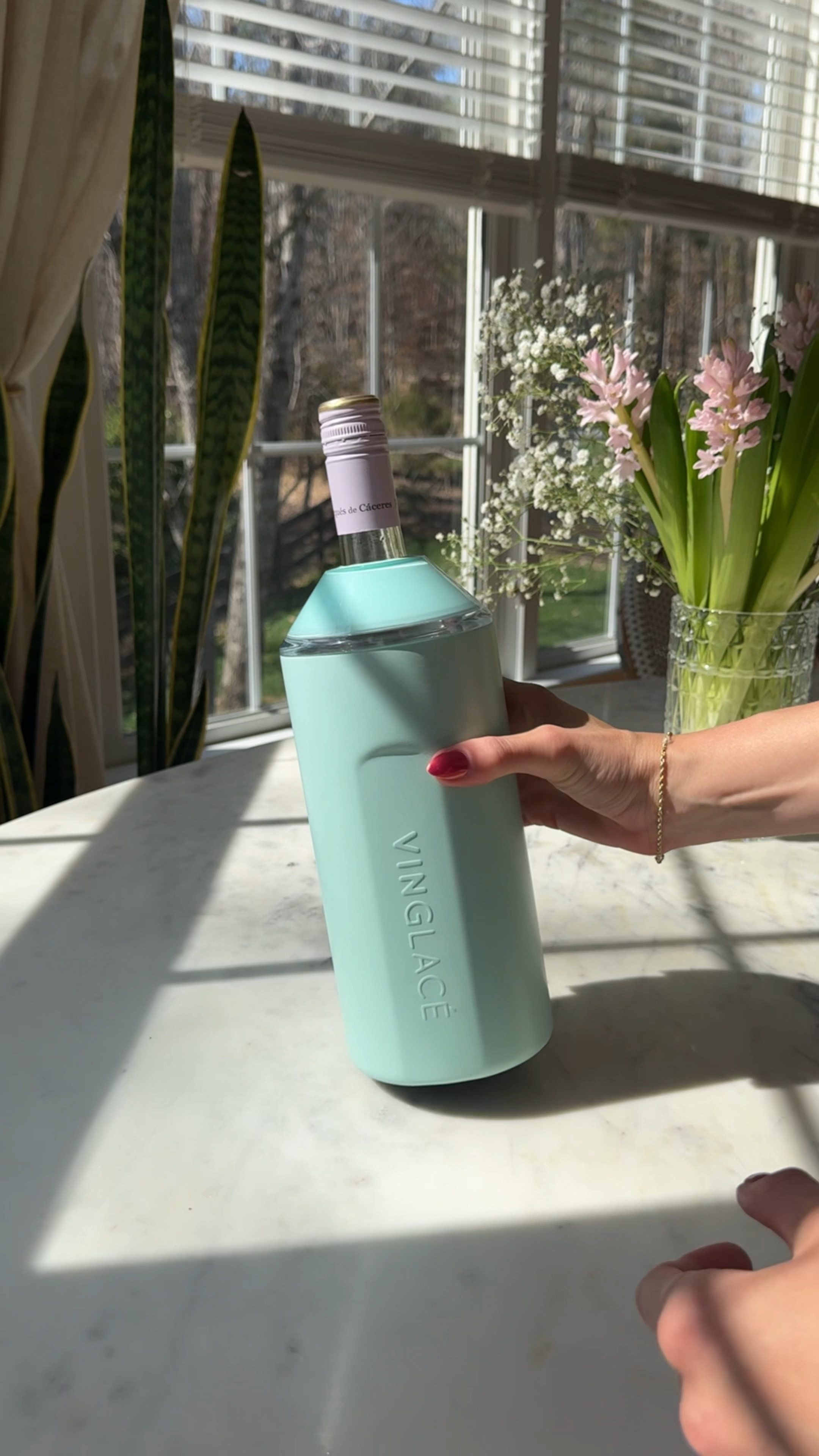 Vinglacé Wine Chiller is one of my favorite and most durable ways to keep wine cold 🧊

#LTKhome #LTKfindsunder100