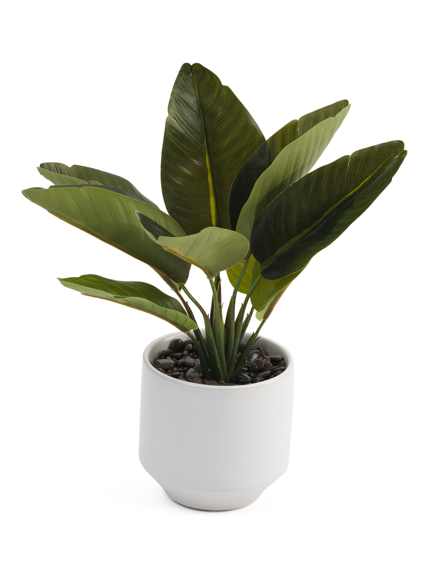 20in Traveler In Angle Pot | Home Essentials | Marshalls | Marshalls