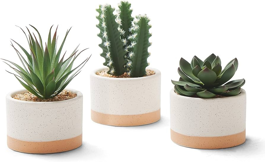Artificial Succulent Plants in Ceramic Pots, Faux Assorted Succulents Fake Cactus Plants for Home... | Amazon (US)