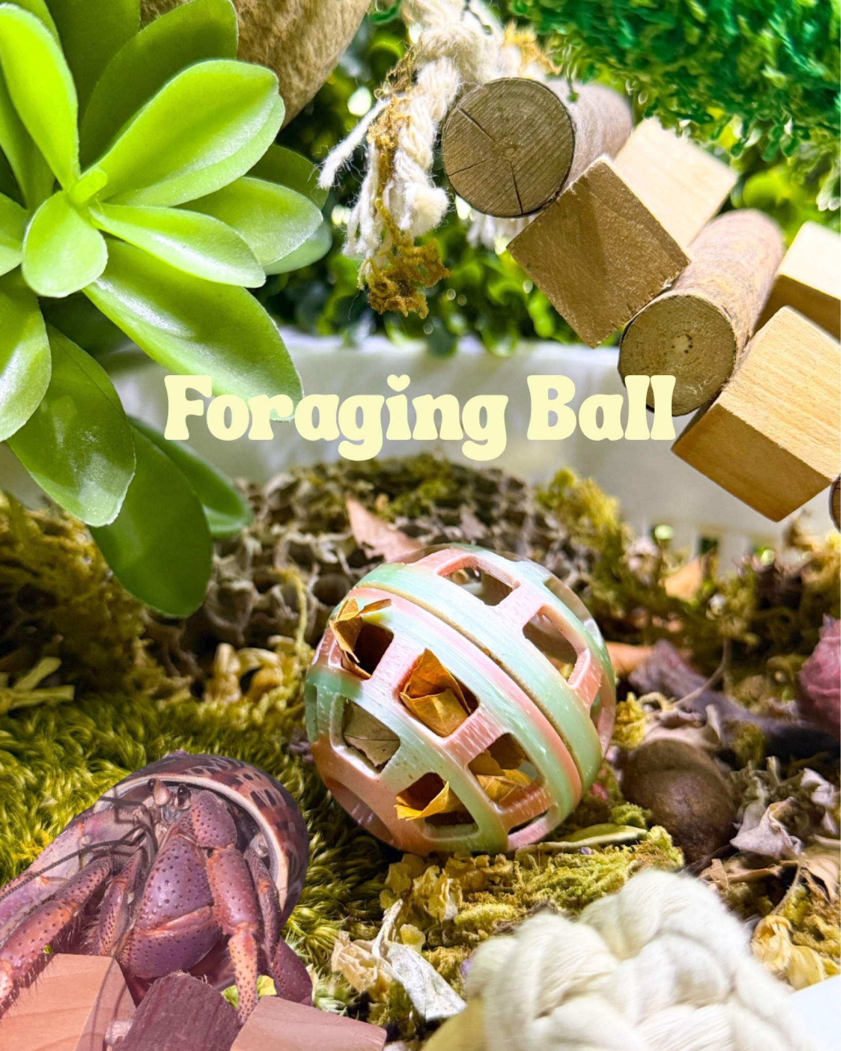 Foraging ball for hermit crab enrichment