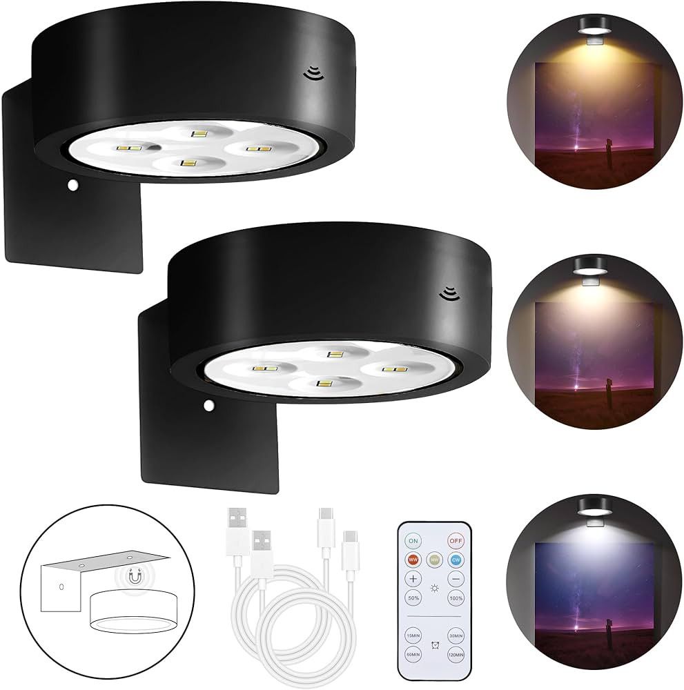 Rechargeable Battery Picture Light, Led Painting Light with Remote Dimmable & Timer, 3 Lighting M... | Amazon (US)