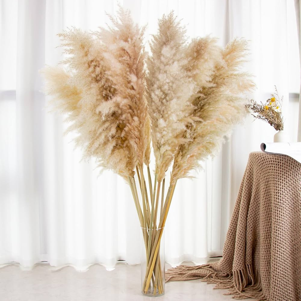 Pampas Grass Decor Tall, 40" Inch 10 Stems Natural Pompas Grass, Dried Pampas Grass for Wedding, ... | Amazon (US)
