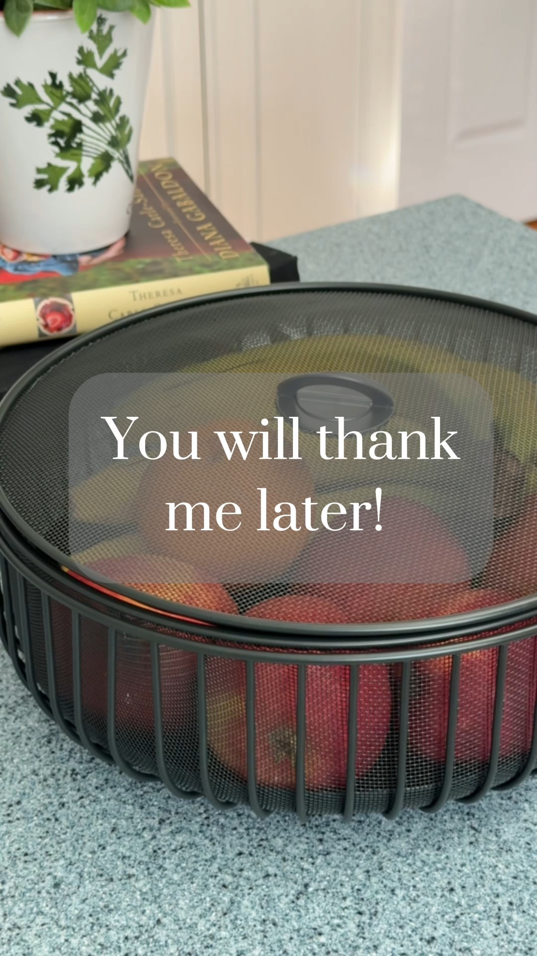 🚨🚨BACK IN STOCK! These always sell out!

Finally grabbed this mesh fruit bowl I’ve been eyeing forever… and it did not disappoint. 👀🍐
 It keeps produce protected and adds a clean, modern touch to the counter. Functional + pretty = my favorite combo. 🙌✨

It’s a small upgrade that makes a big difference—especially if you love an organized kitchen vibe. 🏡🖤

 #KitchenFavorites #CountertopGoals #OrganizedLiving #MinimalKitchen #FunctionalDecor #SmallSpaceSolutions #AmazonHome #KitchenInspo 

#LTKFindsUnder50 #LTKFamily #LTKHome
