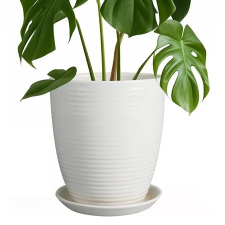 Stillaflora 8 inch White Indoor Ceramic Plant Pot for Herbs & Home | Walmart (US)