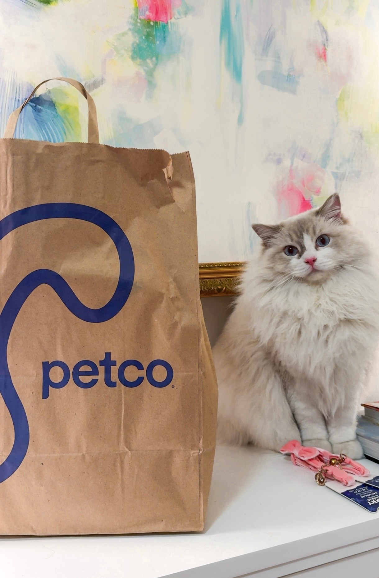 Unleashing the merry with Petco this season🎄🐾 Their new Merry Makings Holiday Collection is SO good (and has over 400 exclusive, on-trend pieces!) Most items are under $15 with picks starting at just $1.99. Perfect for stocking stuffers or spoiling your fur baby just because! Plus, last-minute girlies rejoice: Petco offers Buy Online, Pick Up In-Store and Same-Day Delivery, so you never have to stress about shipping deadlines again. @petco #PetcoPartner #ad

#LTKGiftGuide #LTKHoliday