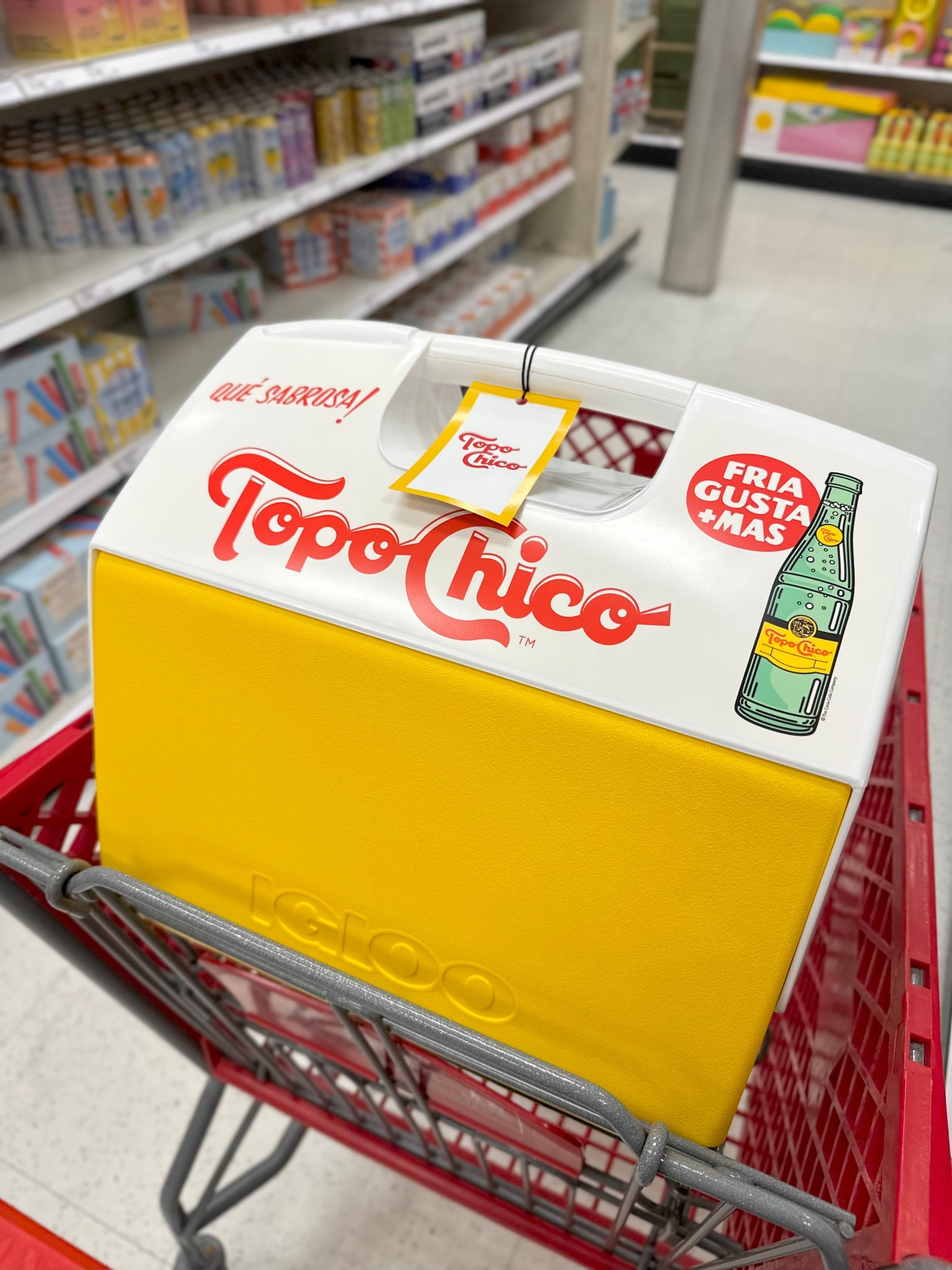 top chico x igloo 

#LTKdayinmylife #LTKTravel #LTKFestival