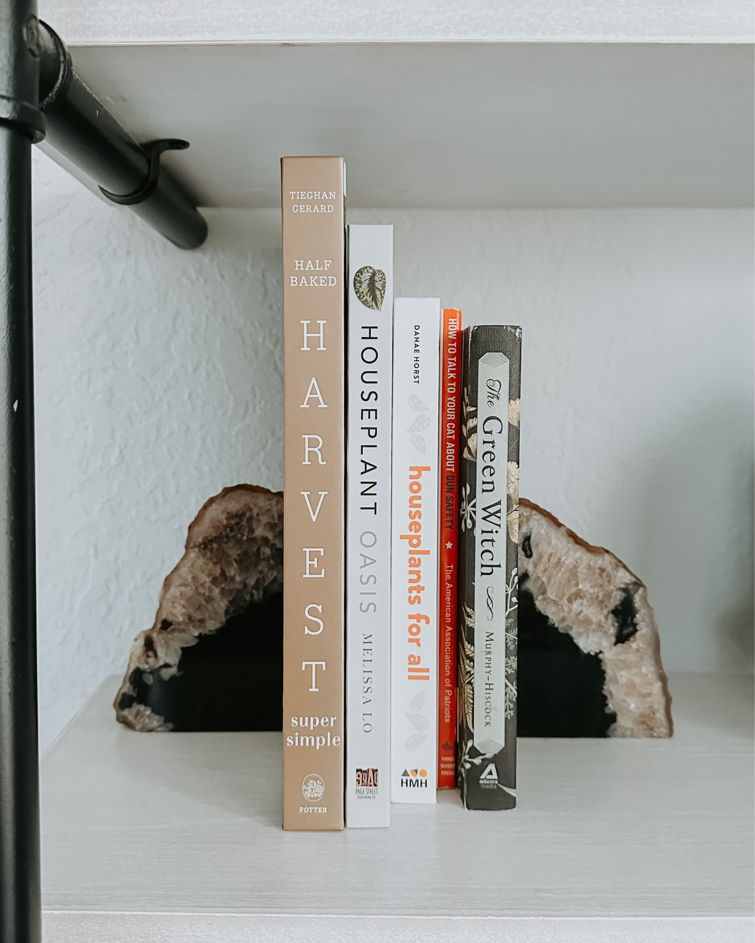 Geode book ends, witchy and herbal books 🌵🖤