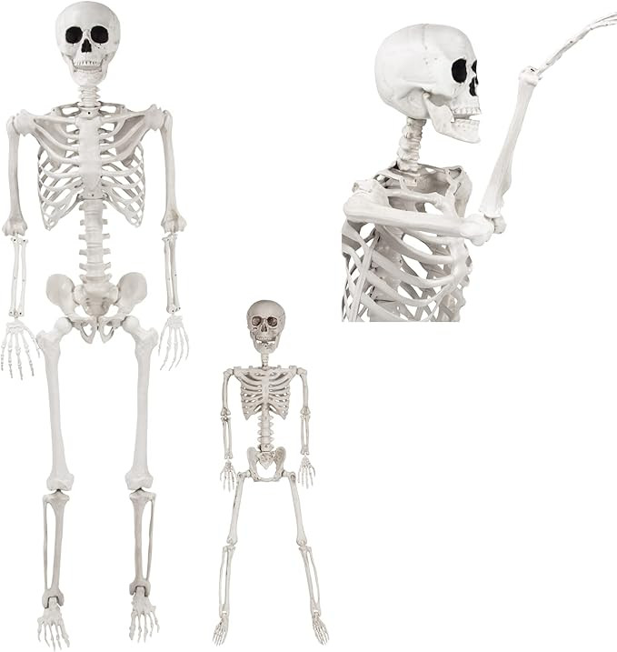 Posable Life Size Human Skeleton Family Set of 2-1 Adult (5' 2")& 1 Child (2')-Halloween Prop Ind... | Amazon (US)