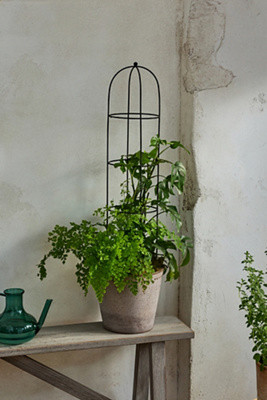 Obelisk Topiary Frame | Terrain