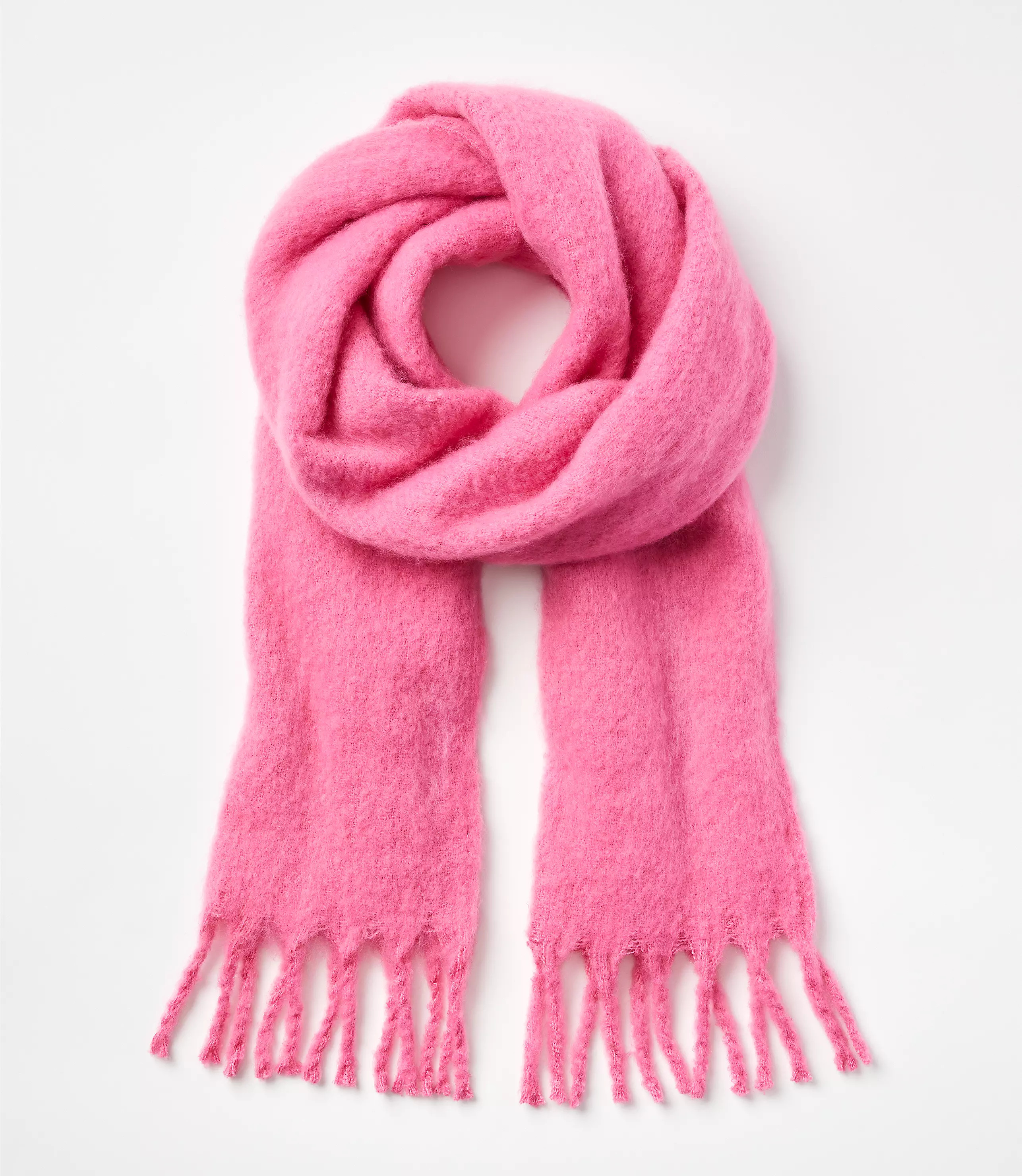 Cozy Fringe Scarf | LOFT