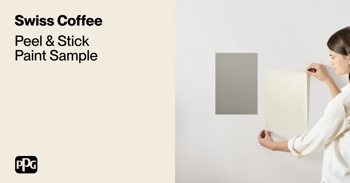 Swiss Coffee  Paint Sample | Samplize