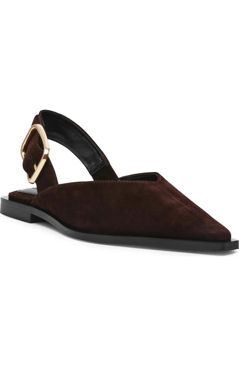 Steve Madden Shay Pointed Toe Slingback Flat (Women) | Nordstrom | Nordstrom